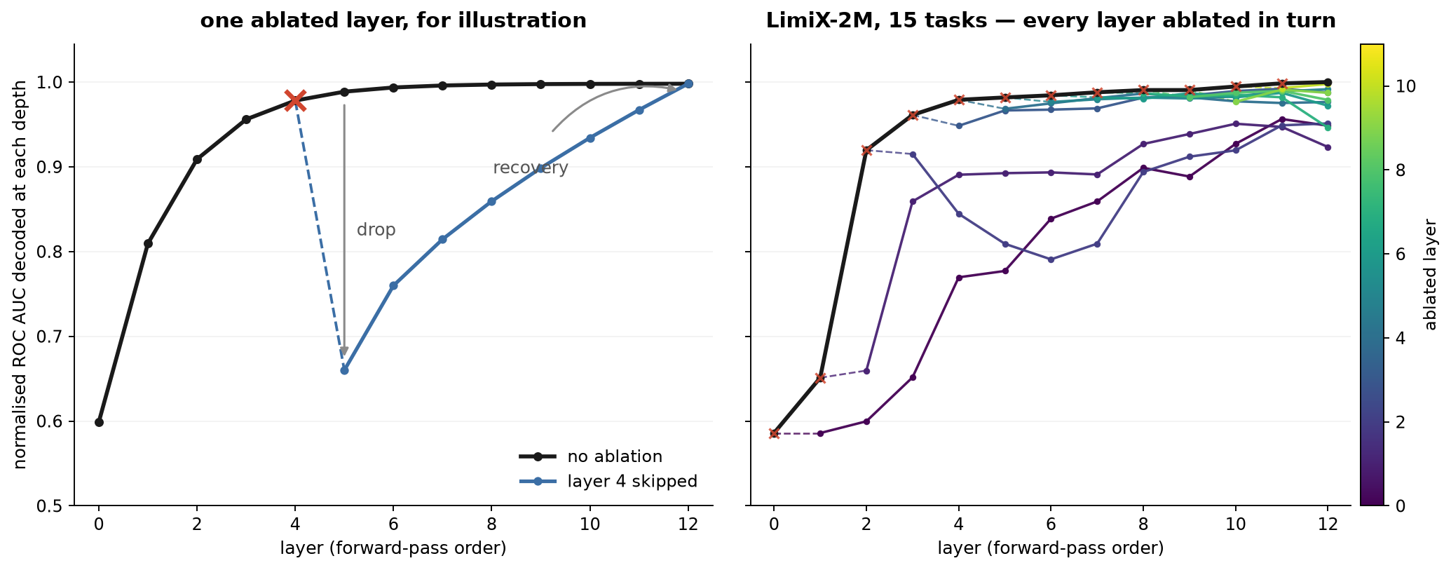 The layer-skipping experiment, schematic and real
